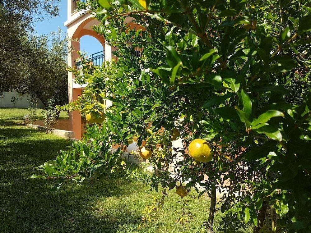 Aloni Hotel Pefkochori Dış mekan fotoğraf